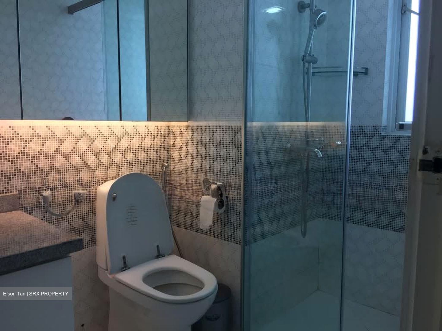 Dunman Place (D15), Apartment #555707921